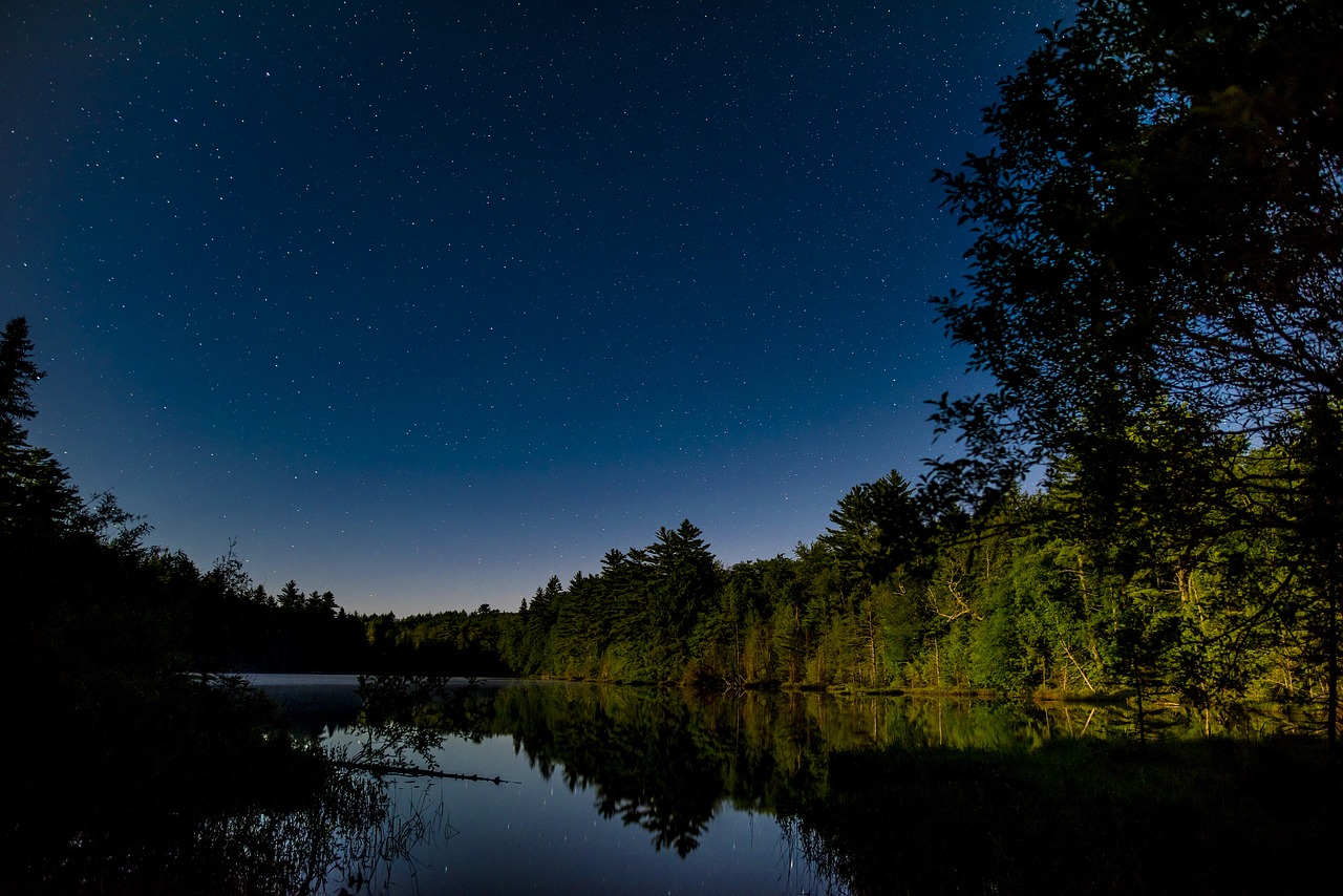 night lake scenic free photo