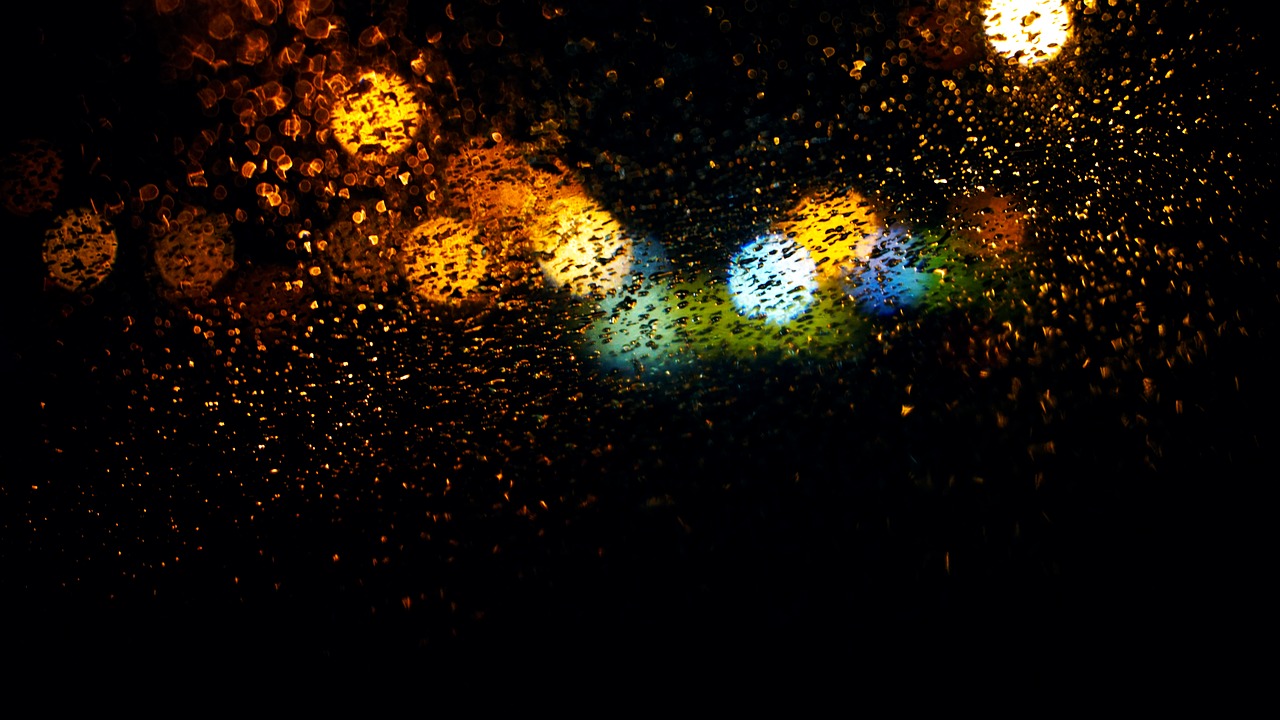 night colorful lights free photo