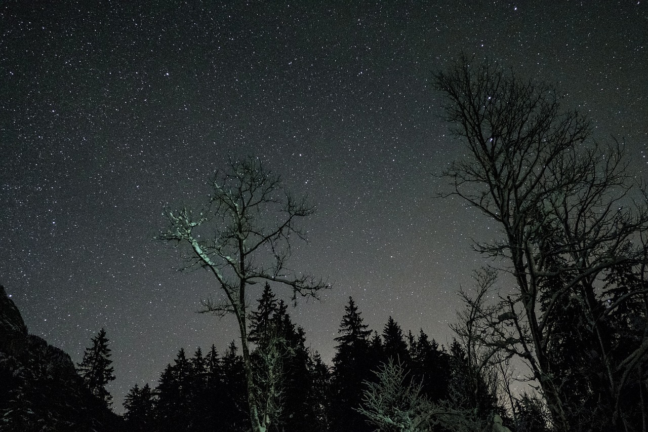 night dark astrophotography free photo