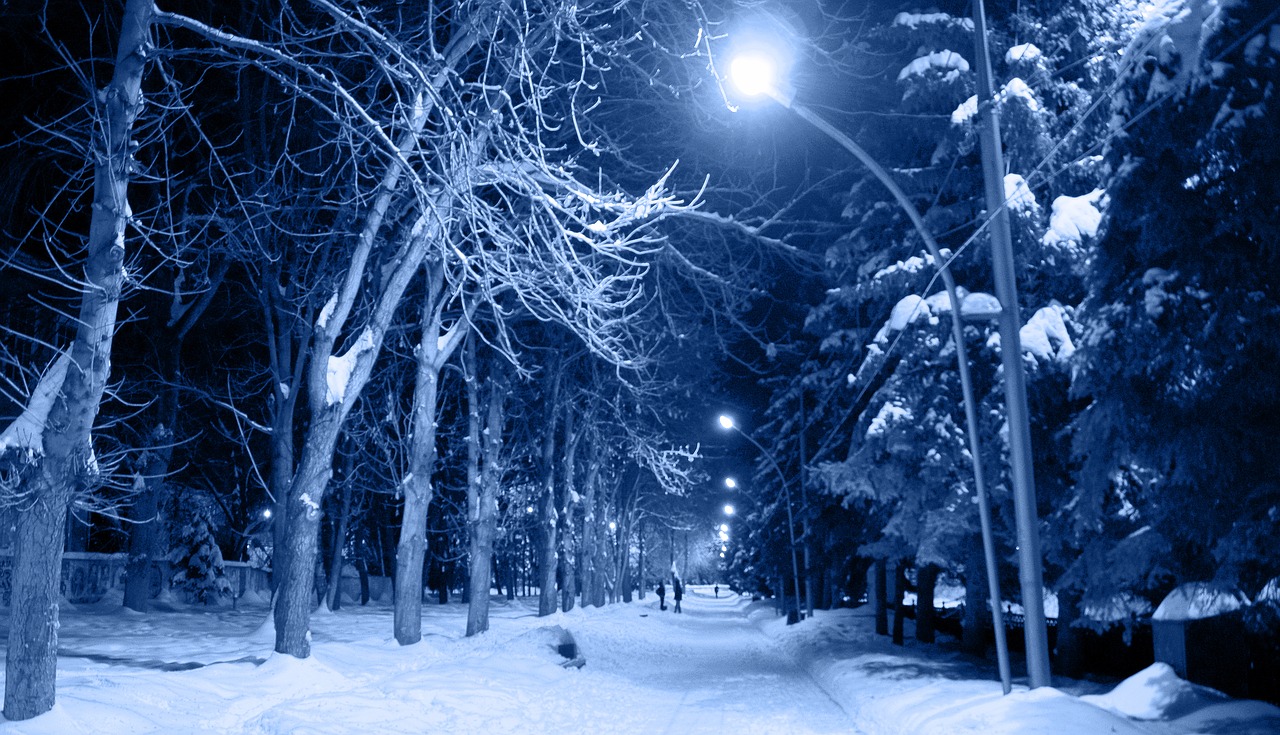 night snow frost free photo