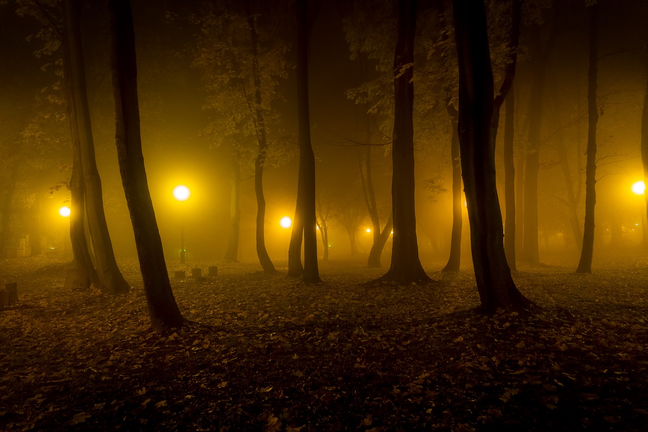 night light the fog free photo