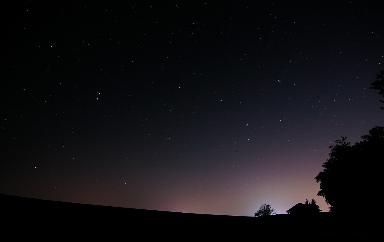 night forest night sky free photo