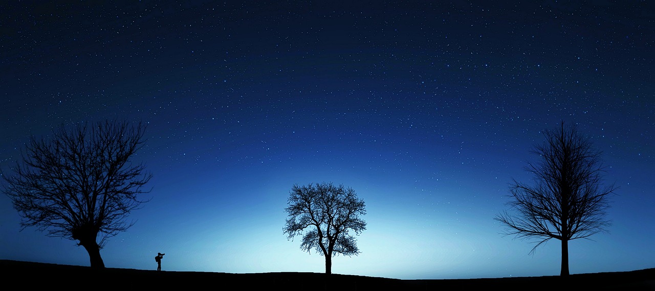 night  silhouette  landscape free photo