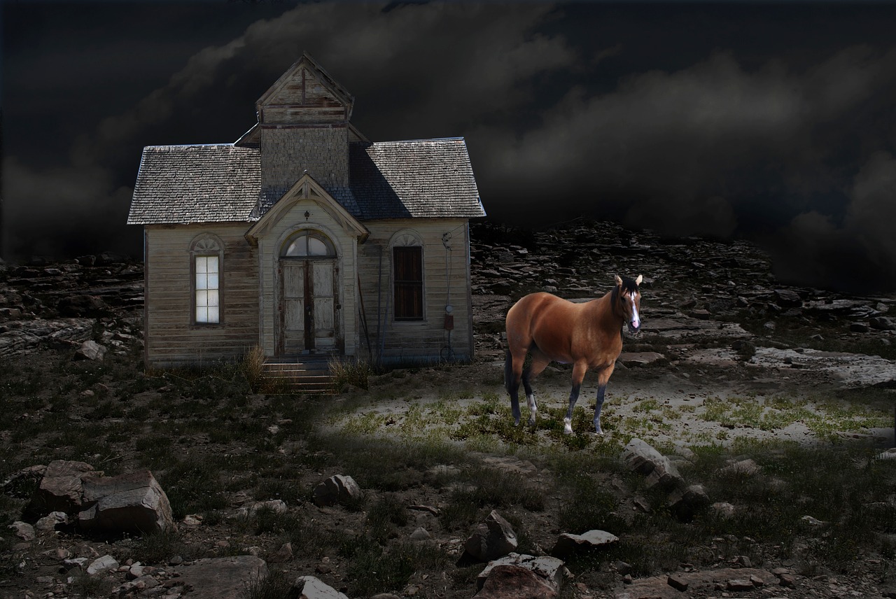 night  horse  ranch house free photo
