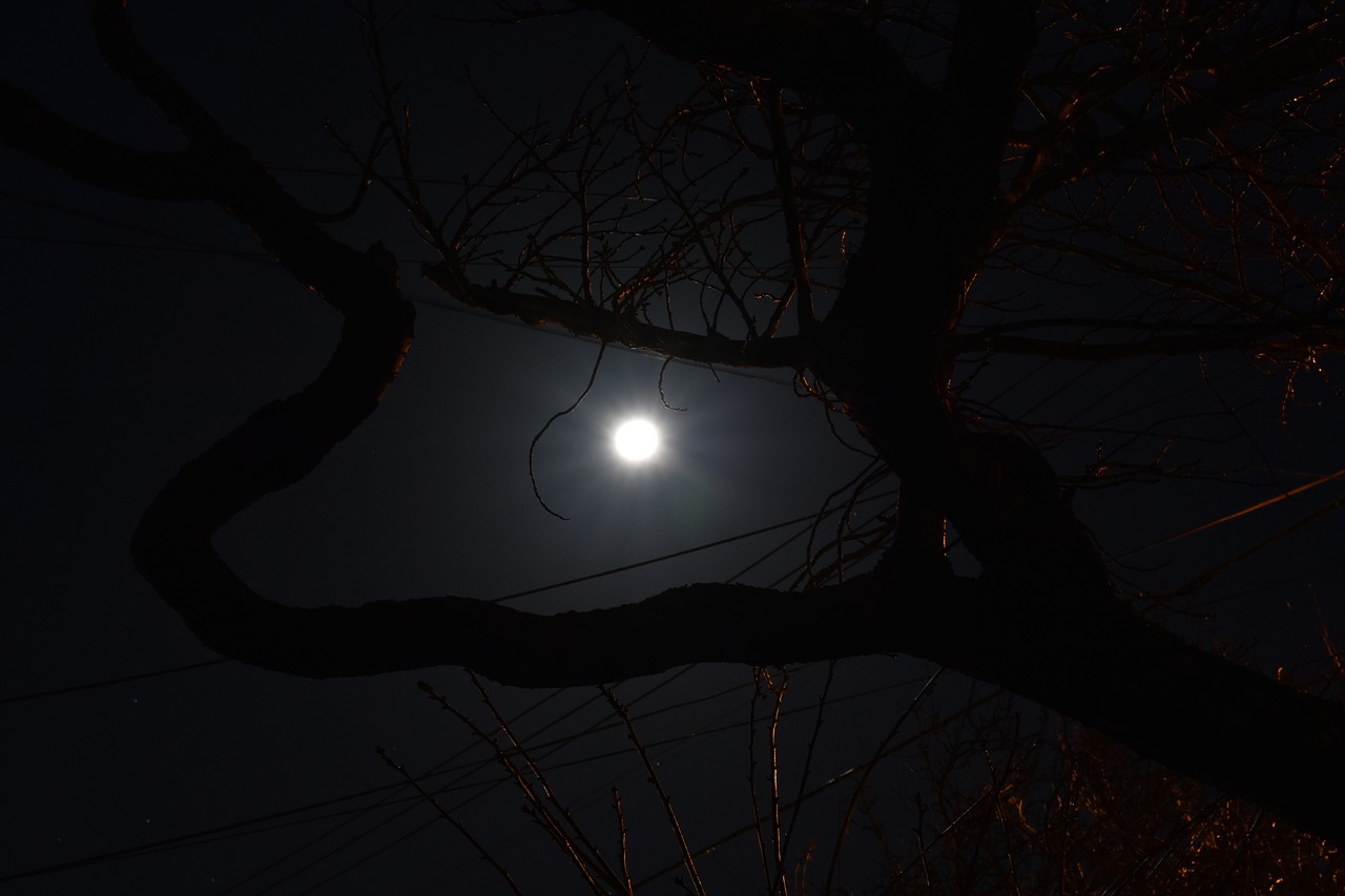 night  sky  moon free photo