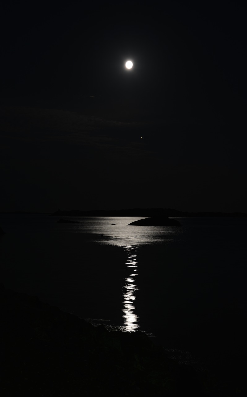 night  moon  moonlight free photo