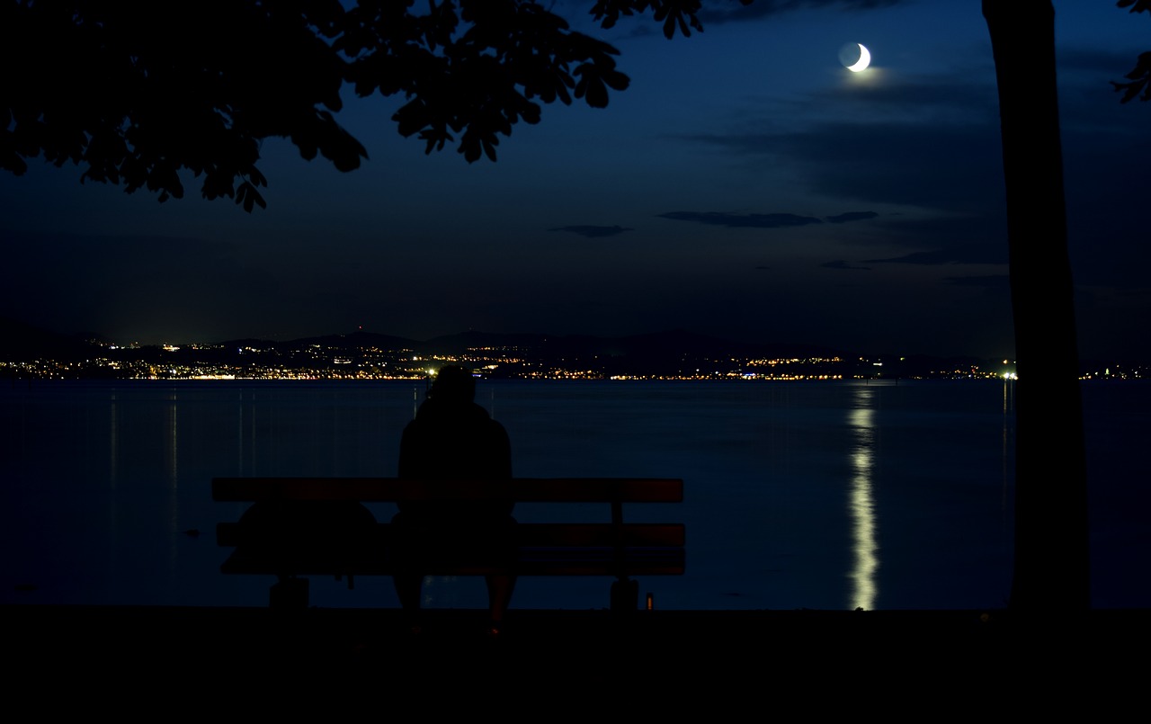 night  lake constance  moon free photo