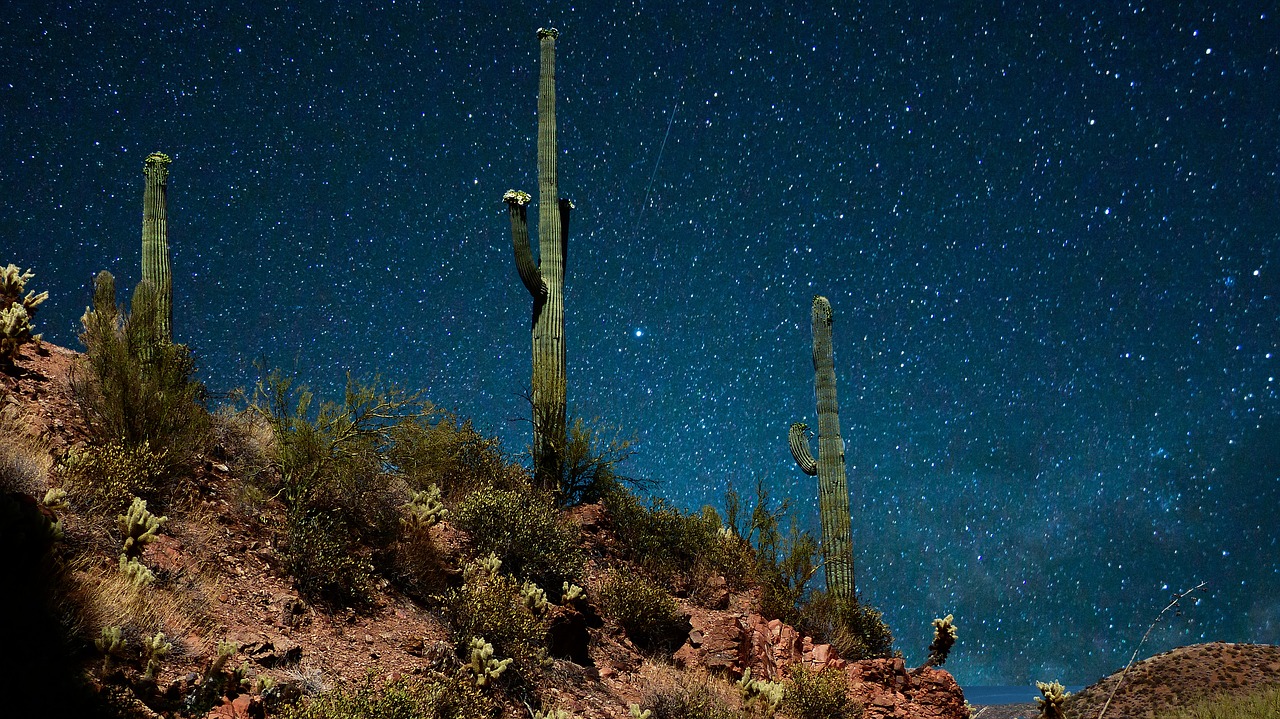 night  sky  stars free photo