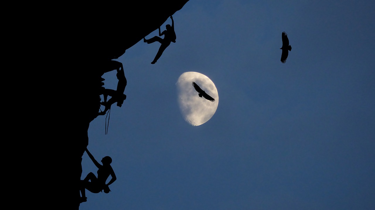night  moon  climbing free photo