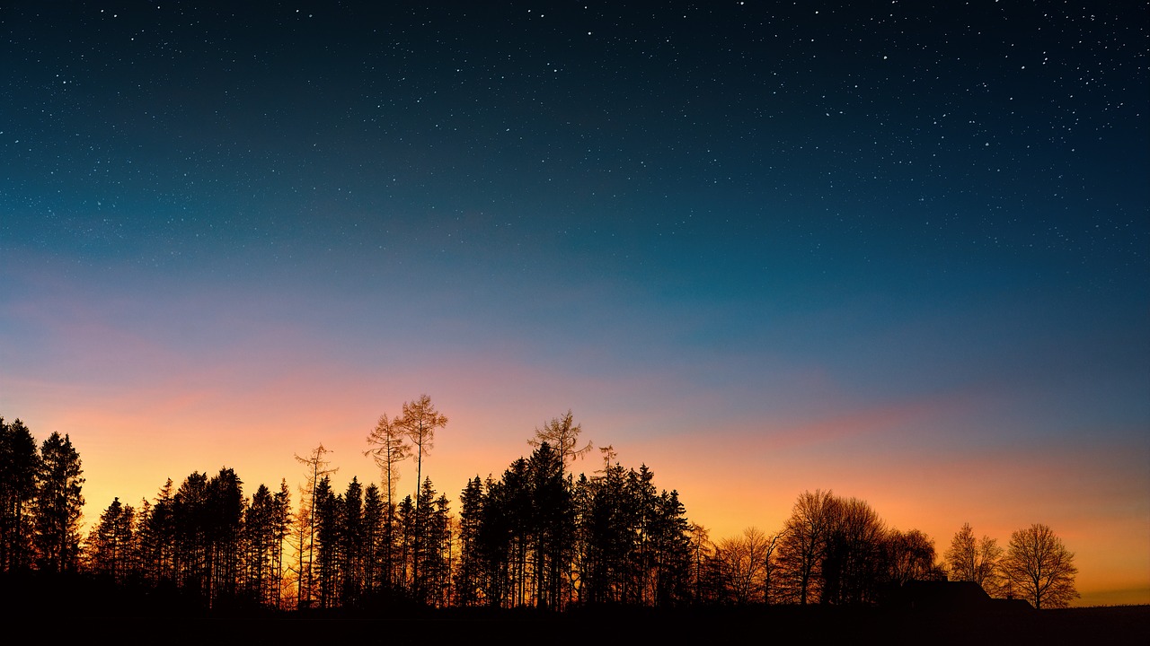 night  sky  trees free photo