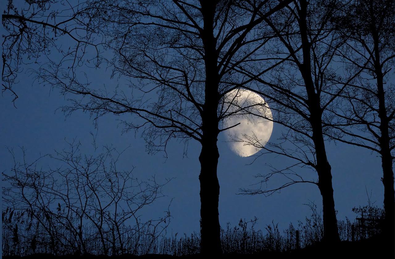 night  sky  moon free photo