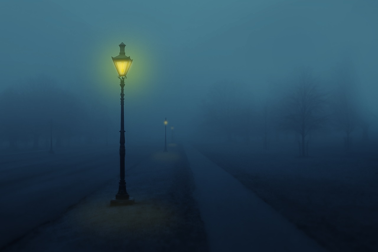 night  fog  street lamp free photo