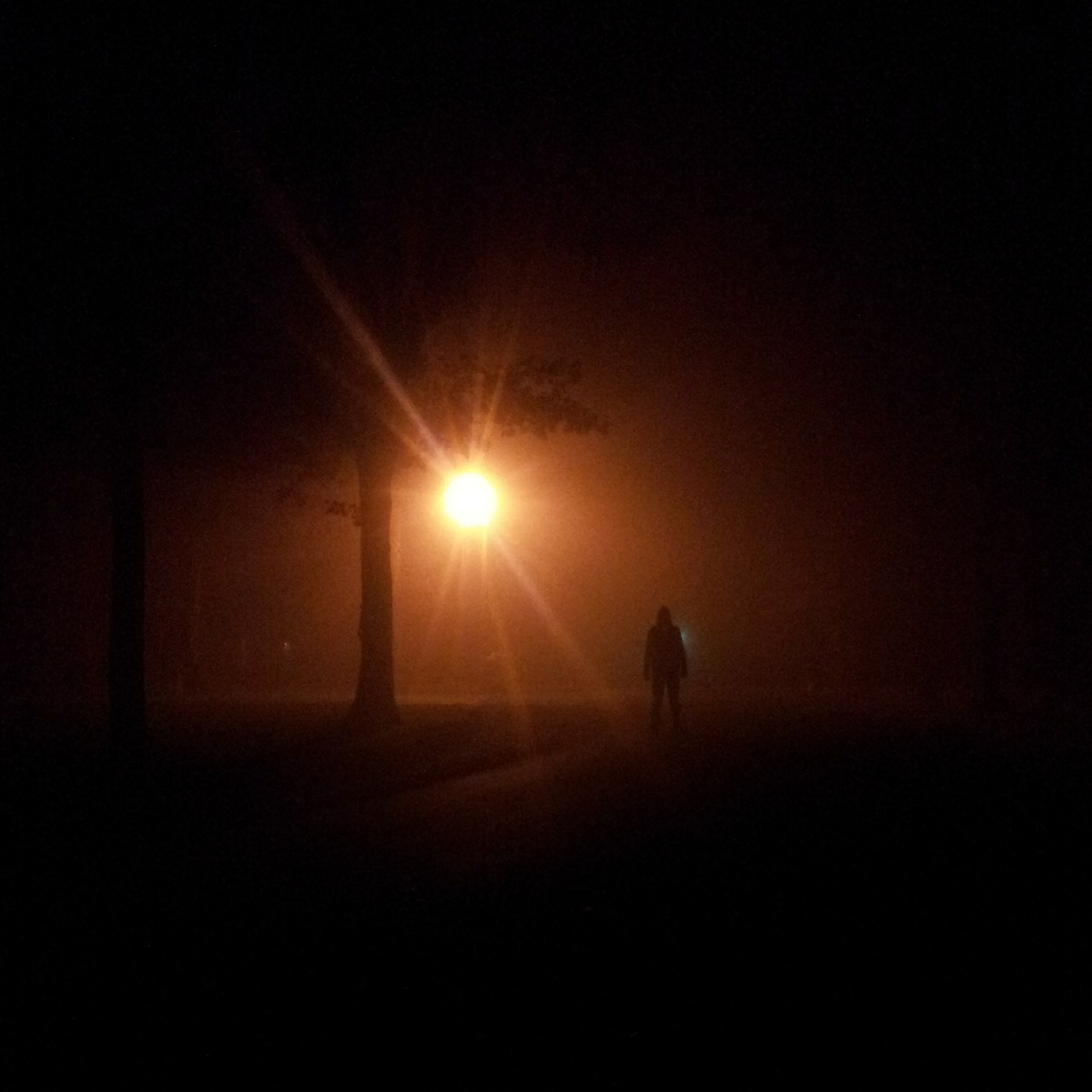night stalker person free photo