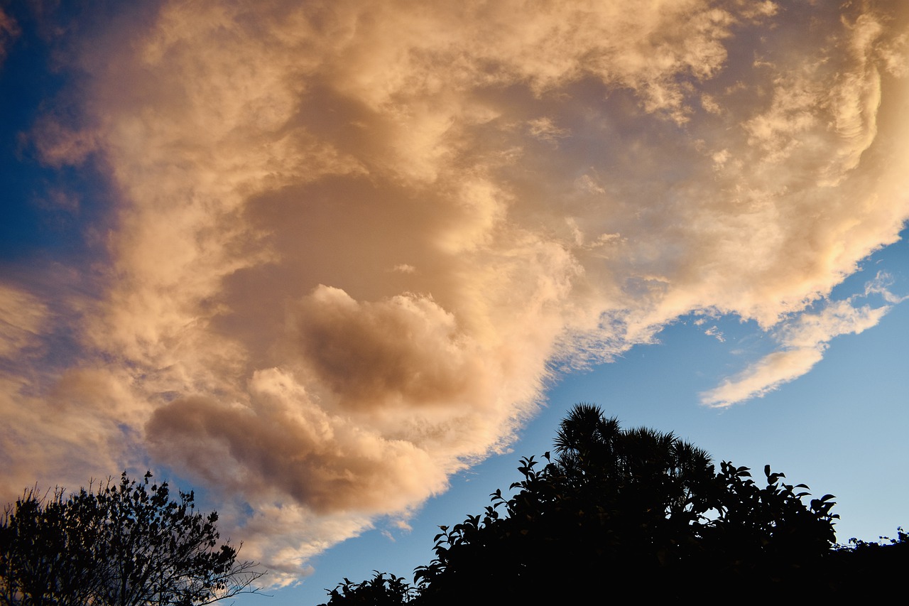 night  sky  pink free photo