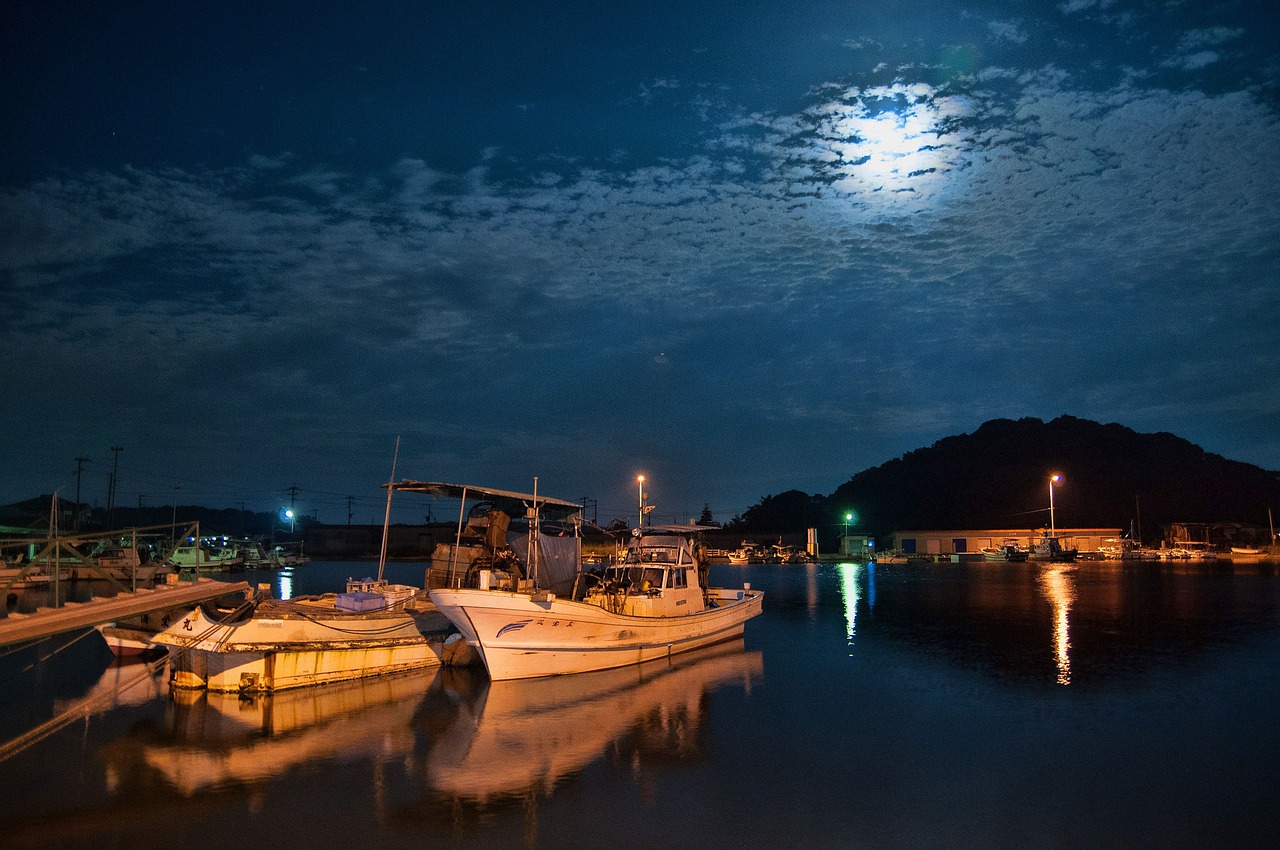 night port kumamoto free photo