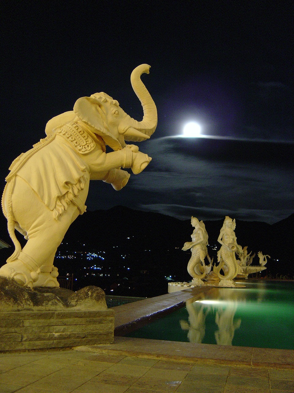 night moon elephant free photo
