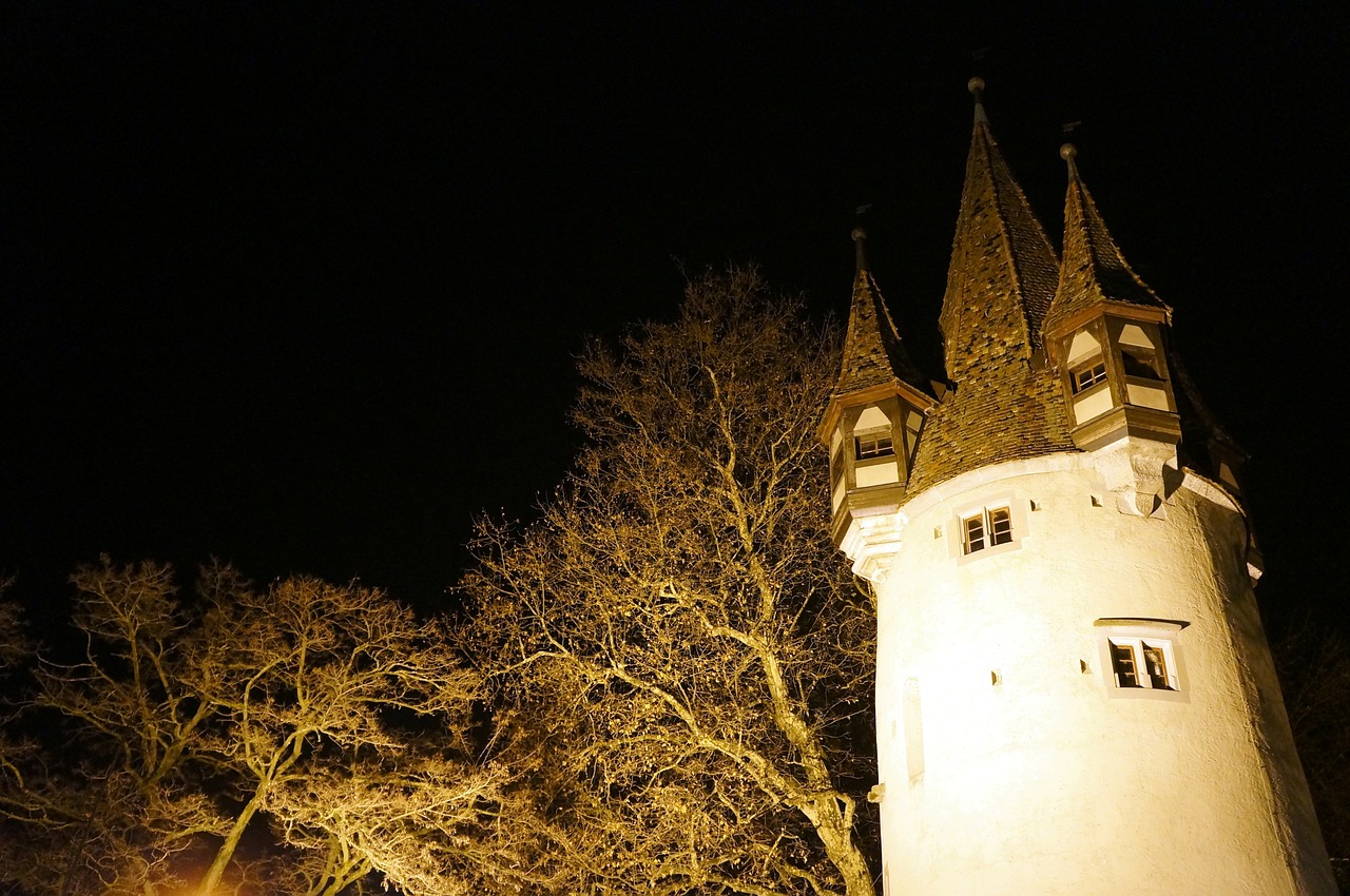 night tree building free photo