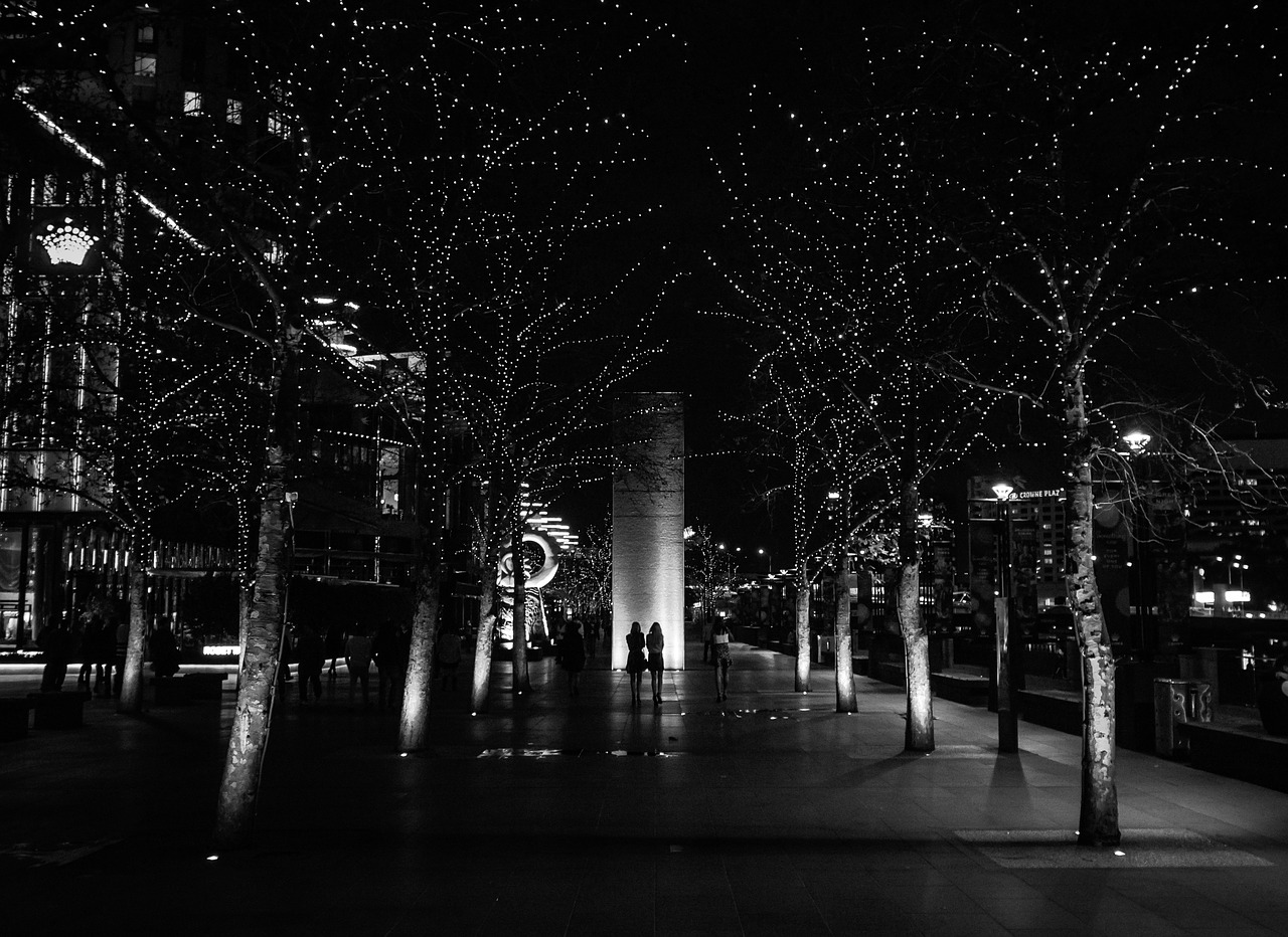 night walk city free photo