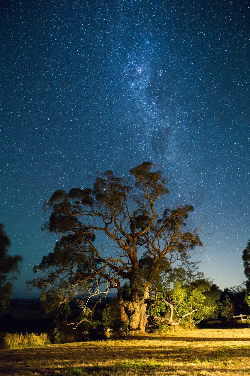 night stars sky free photo