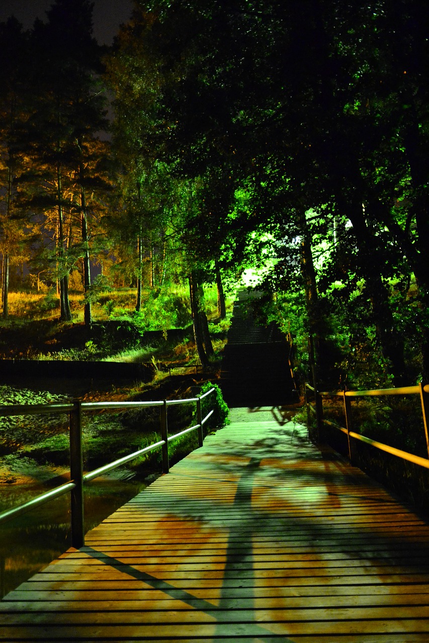 Night,tree,scenery,poland,atmosphere - free image from needpix.com