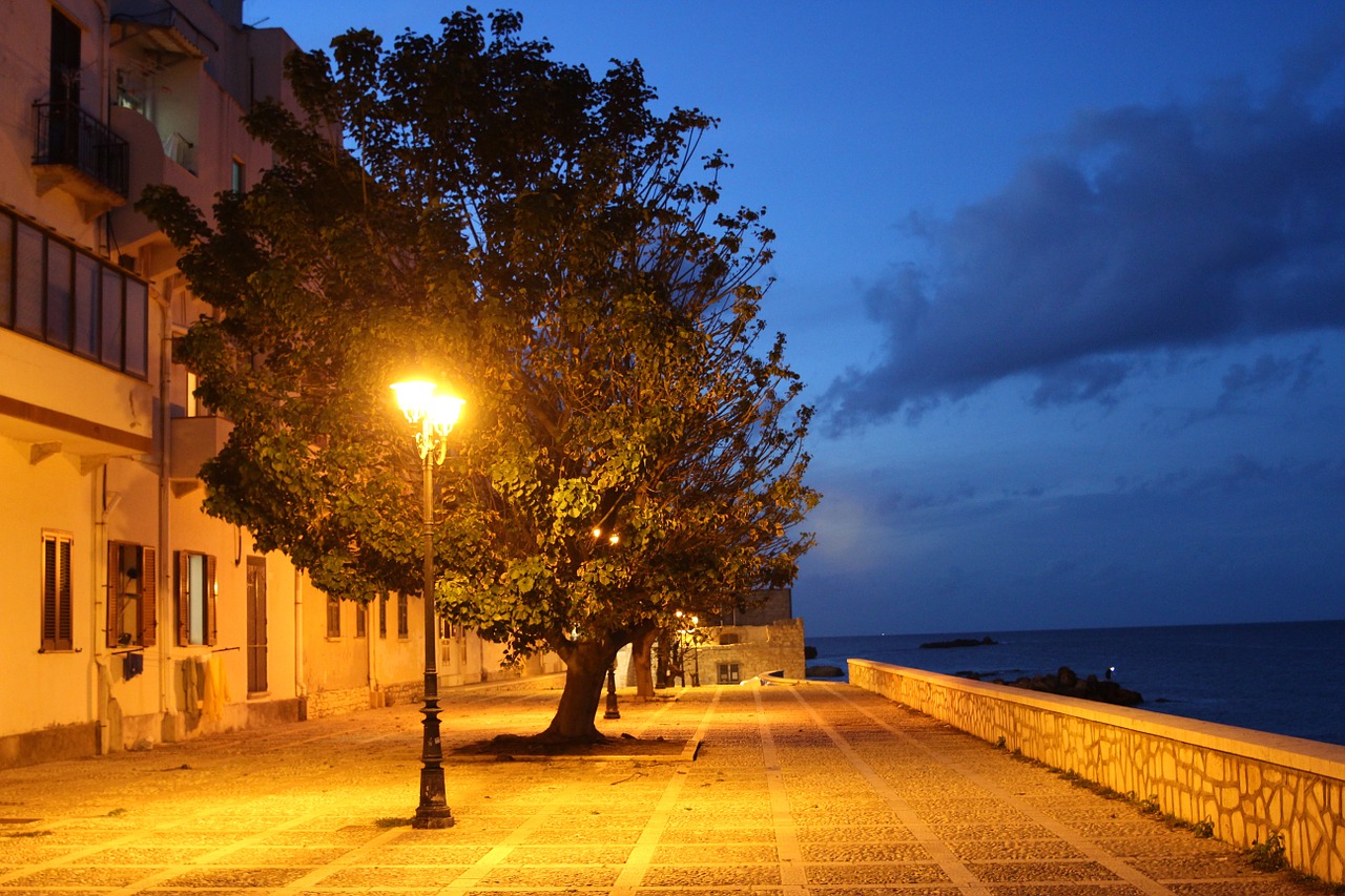 night tree lamppost free photo