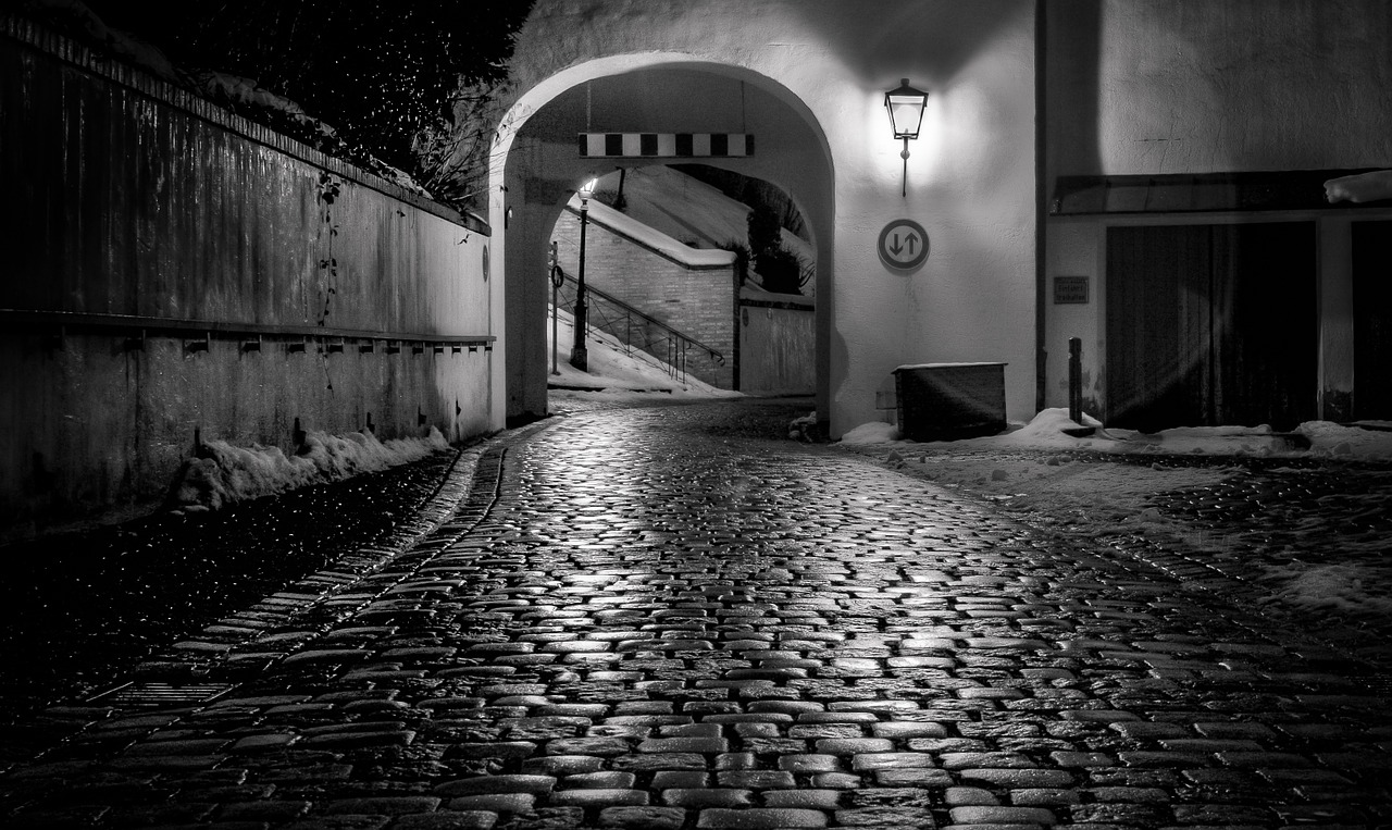 night cobblestone path free photo