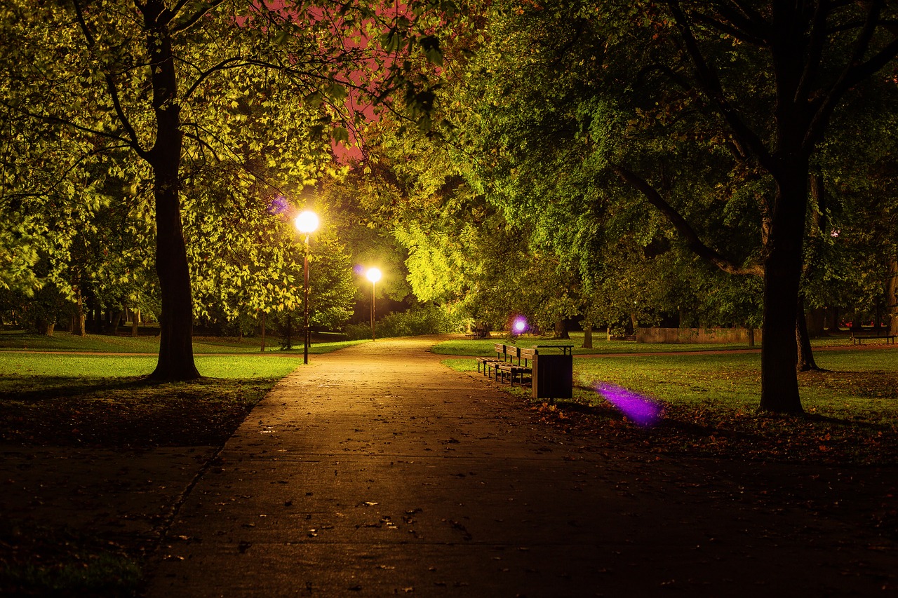 night park city park free photo