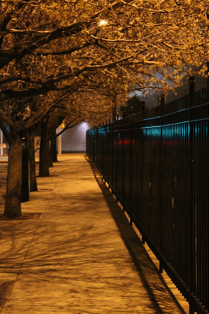 night night scene fence free photo