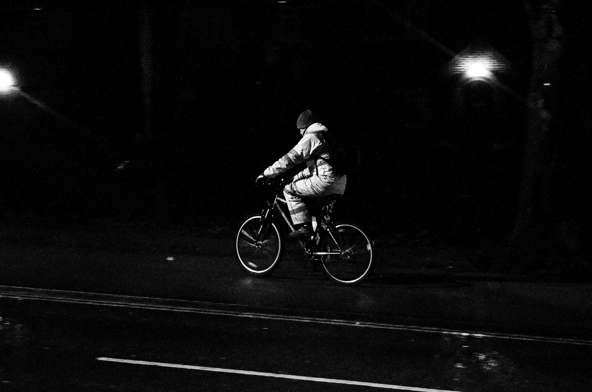 cyclist night horse free photo