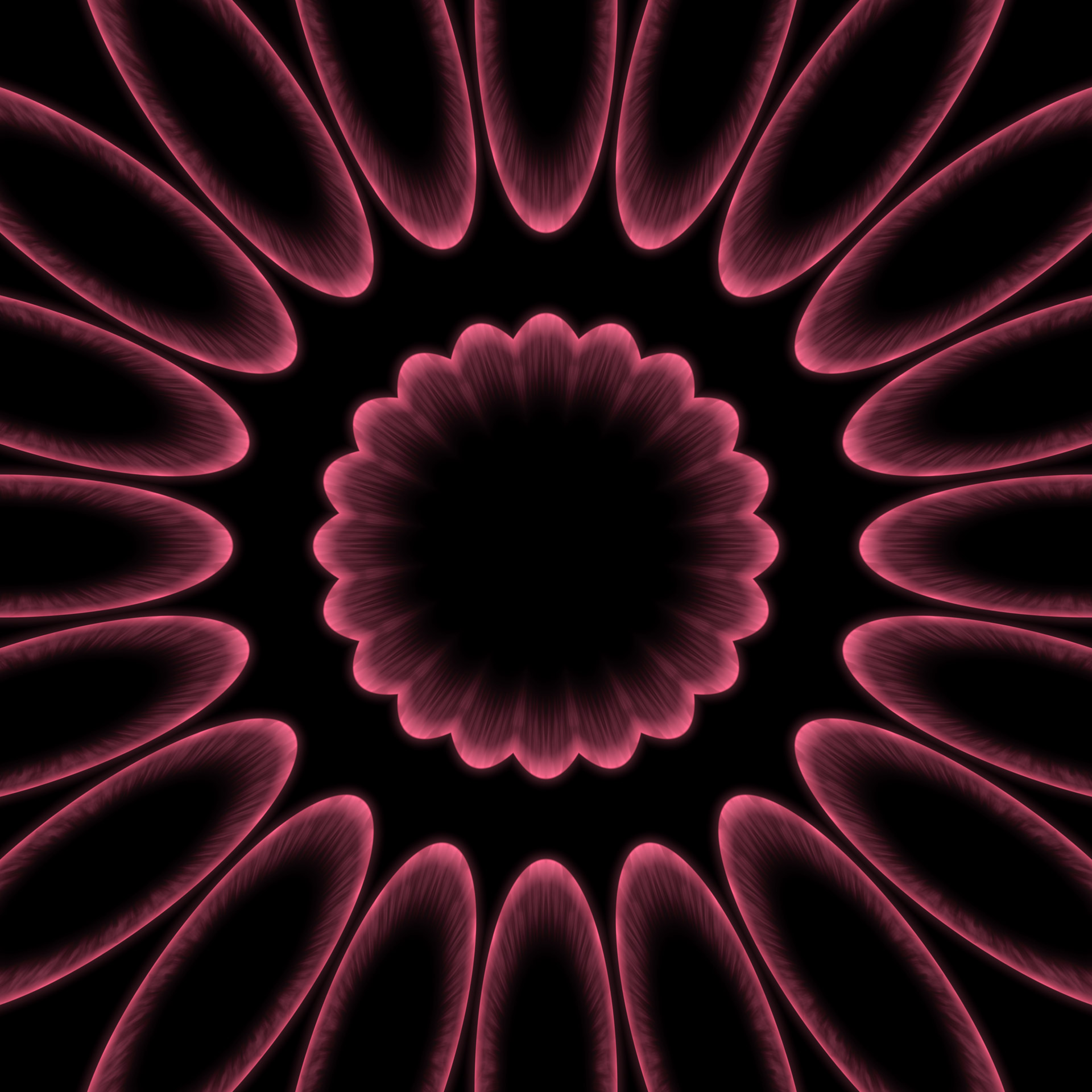 night flower kaleidoscope free photo