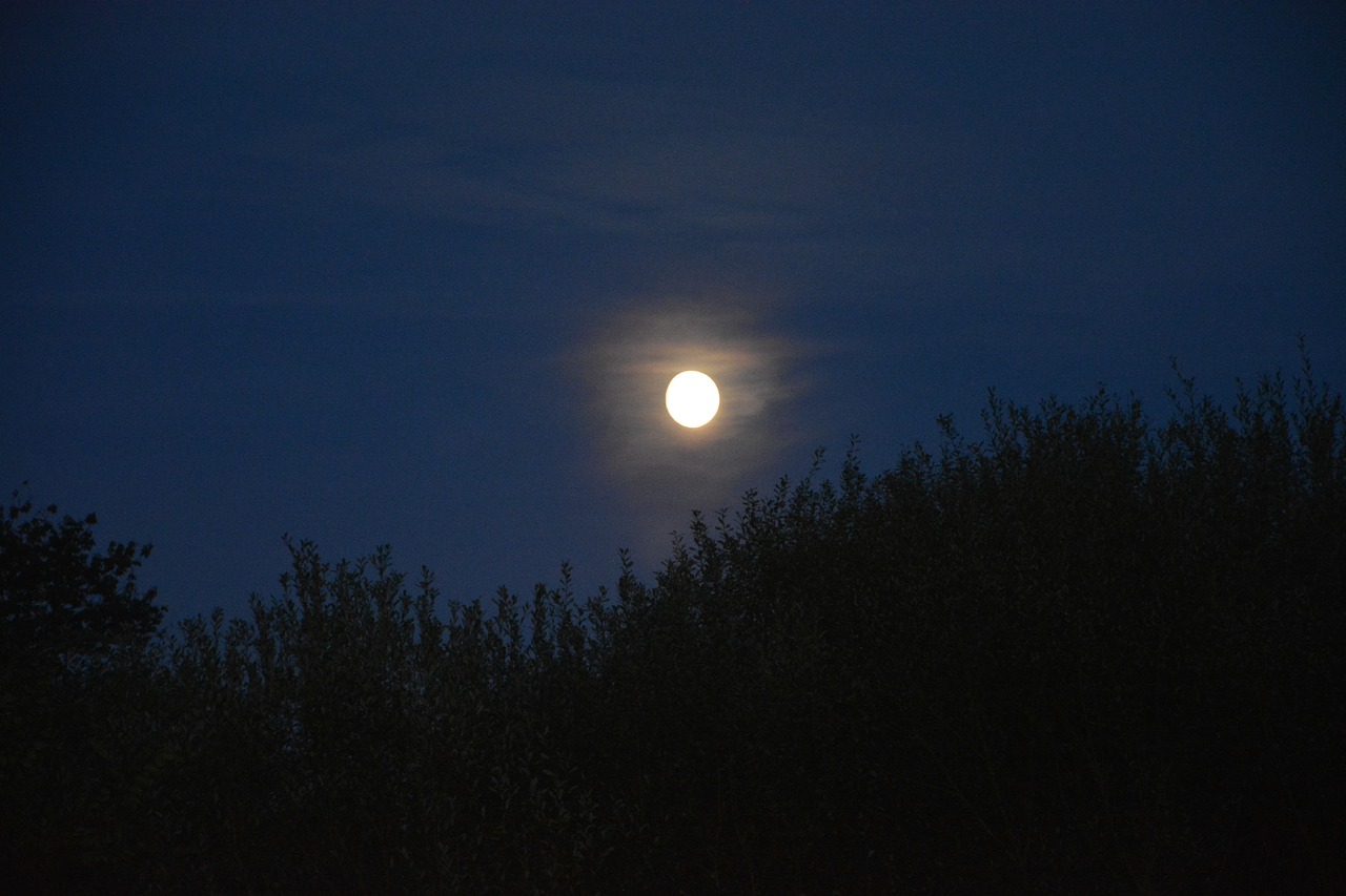 Ночное небо и Луна в деревне