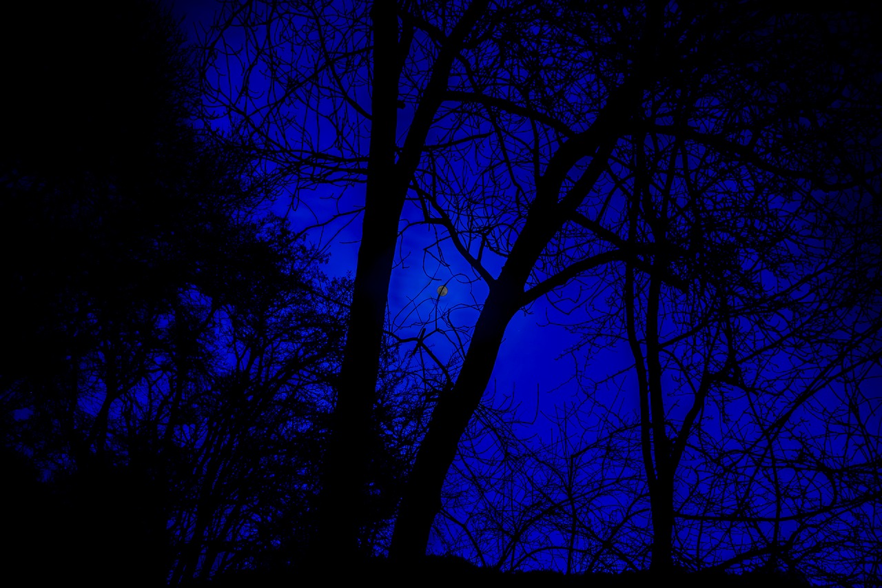 night photograph full moon night sky free photo