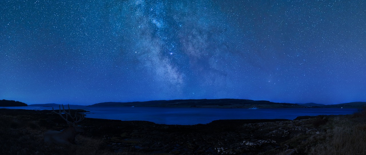 night sky stag scotland free photo