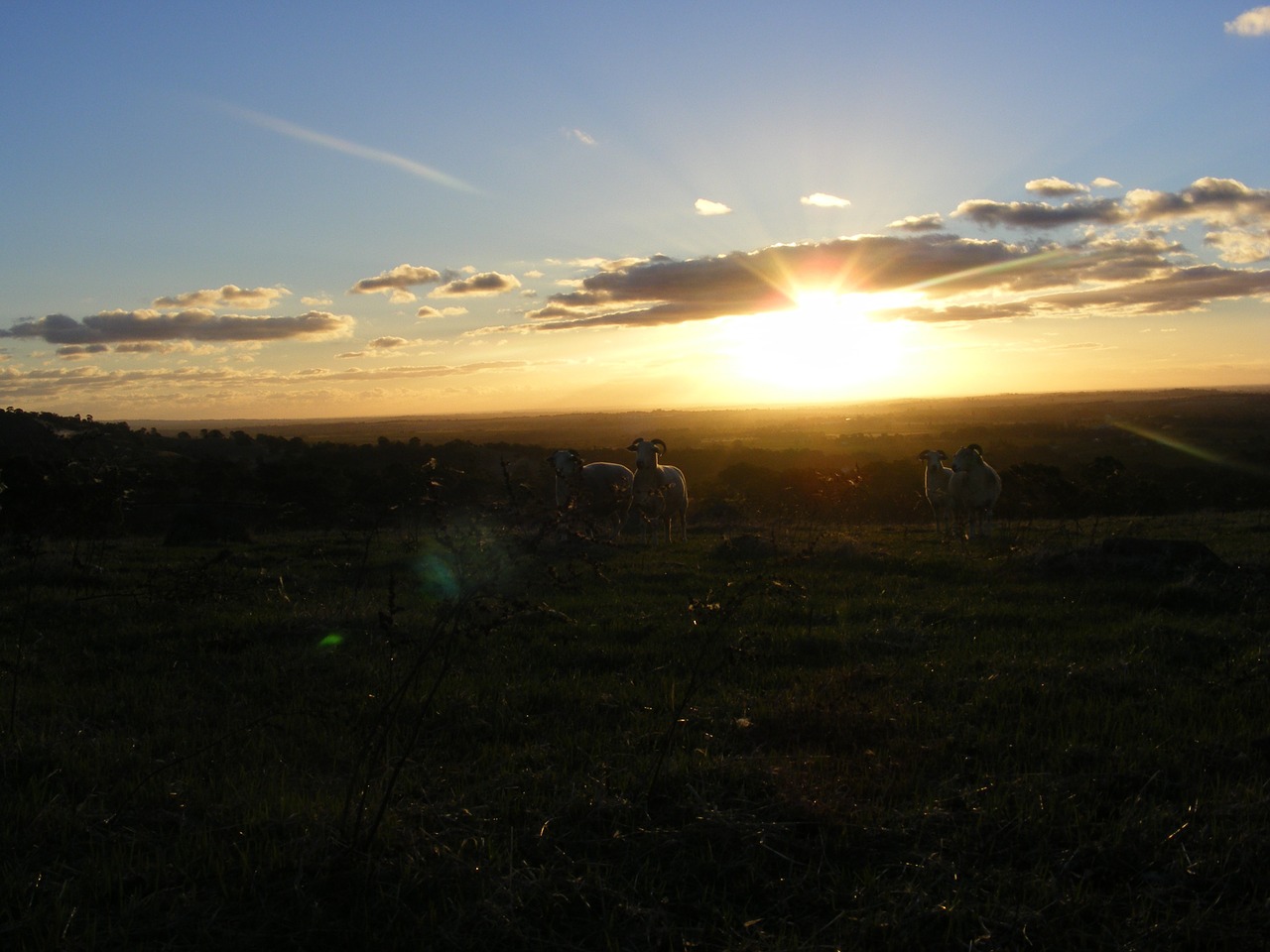 night sky evening barossavalley free photo