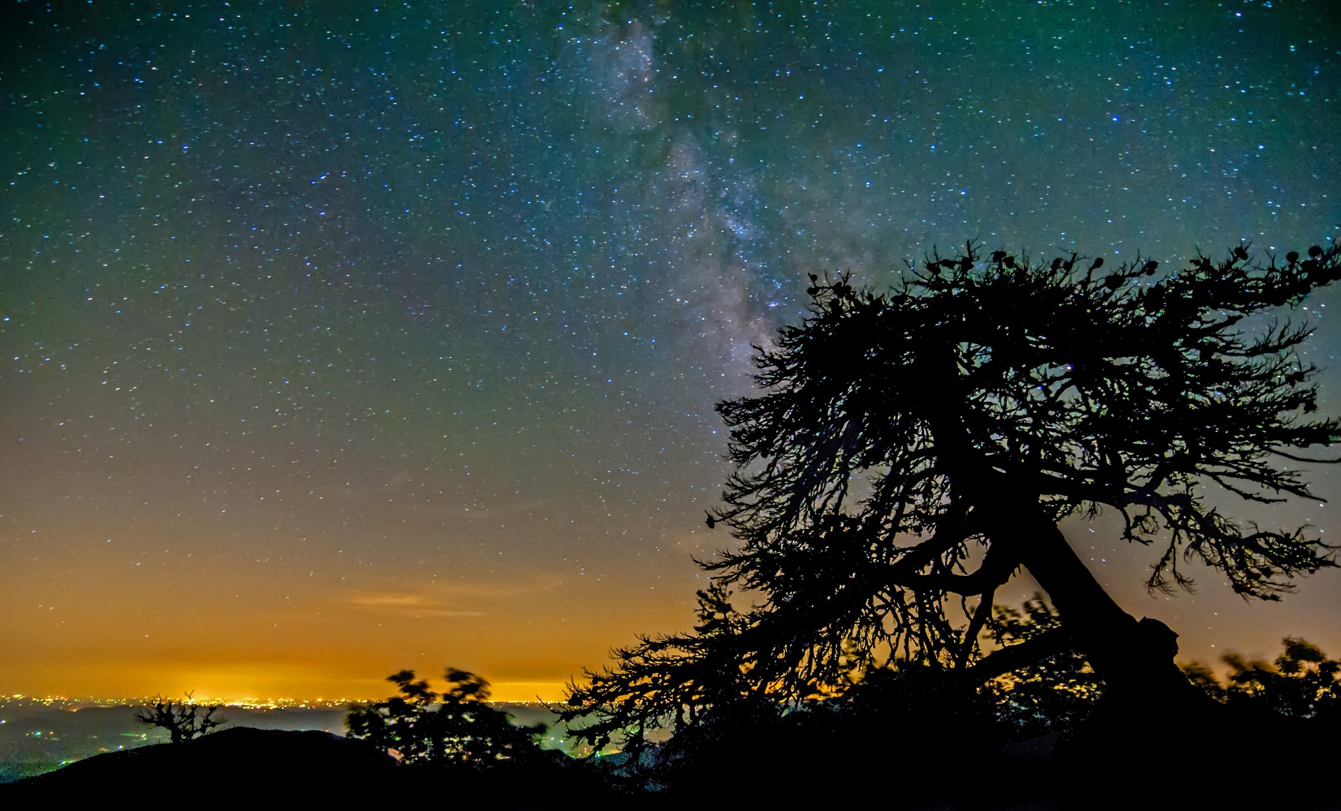 night sky mountains tree free photo