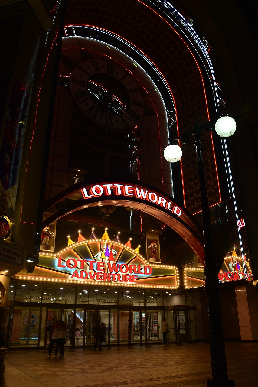 night view lotte world night free photo