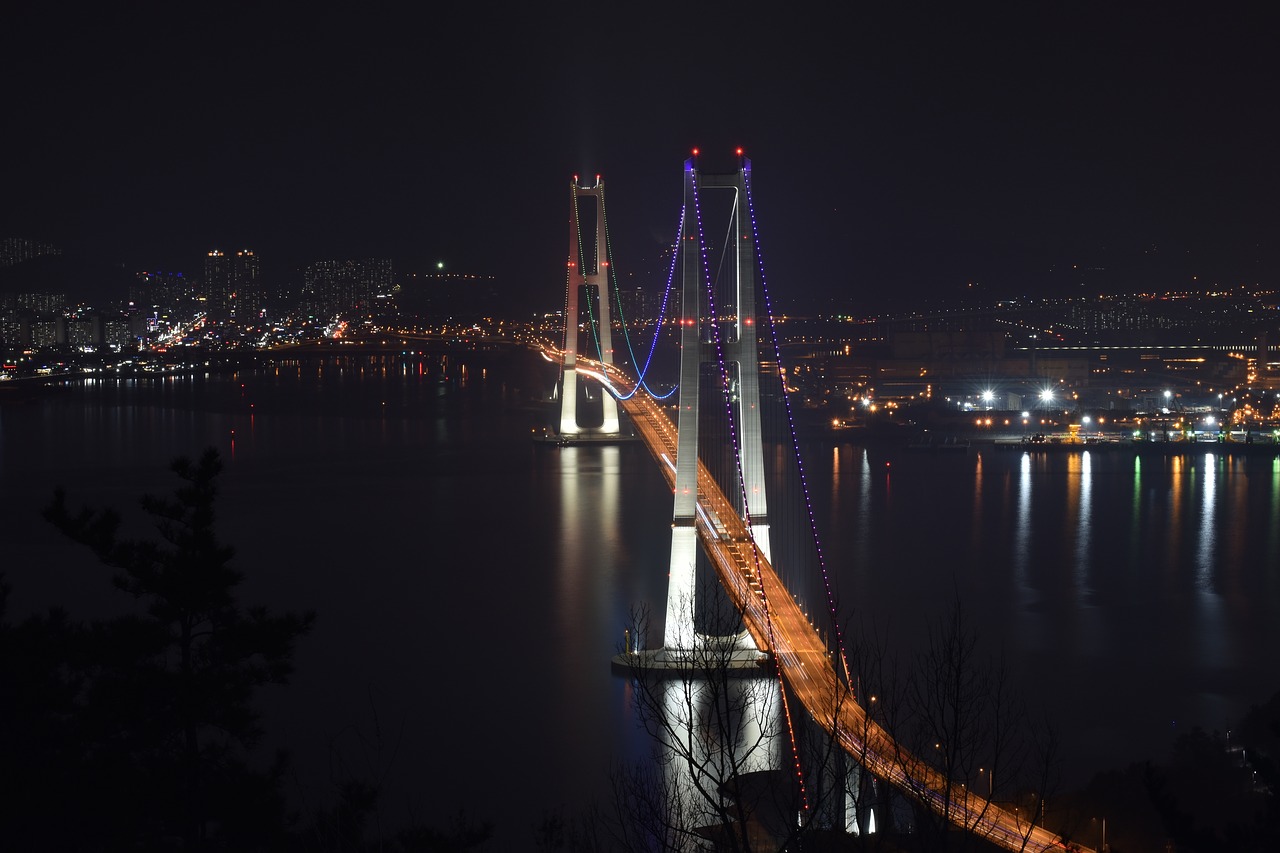 night view  bridge  night free photo