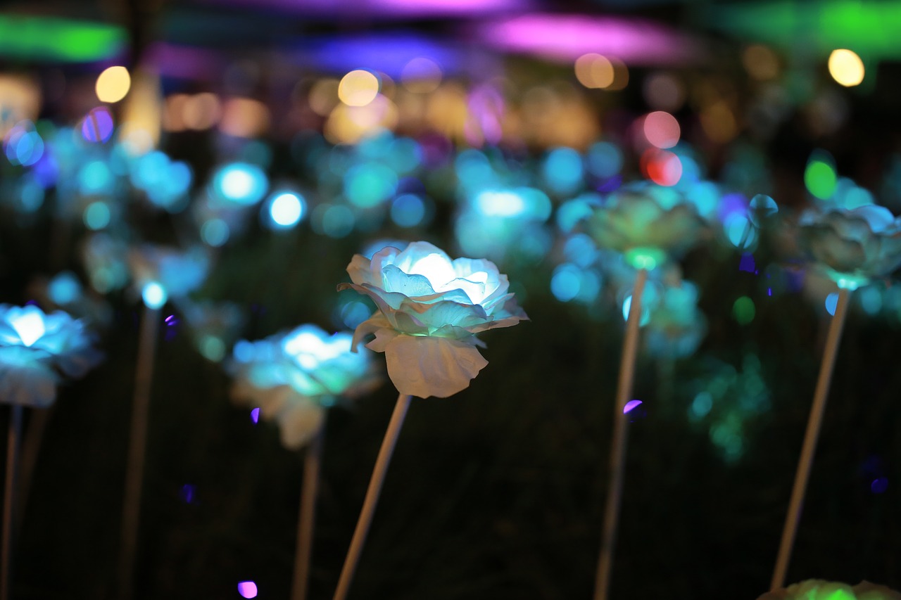 night view  flowers  amusement park free photo