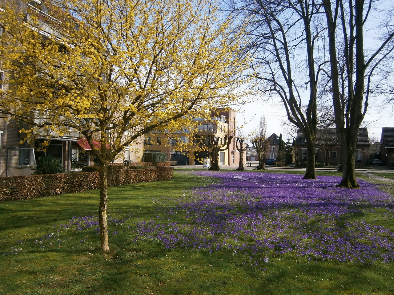 nijverdal spring mill free photo