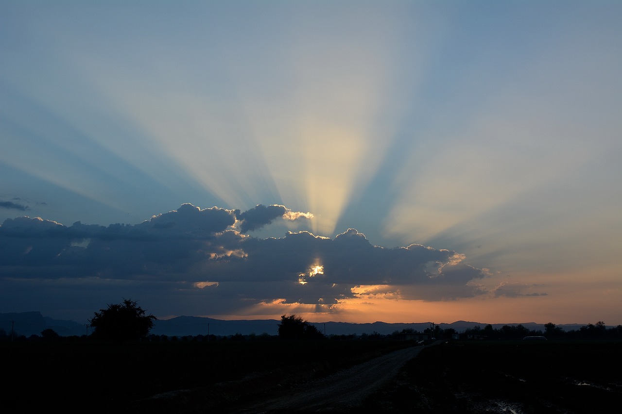 nikon 5200d sunrise on a farm in khuzestan free photo