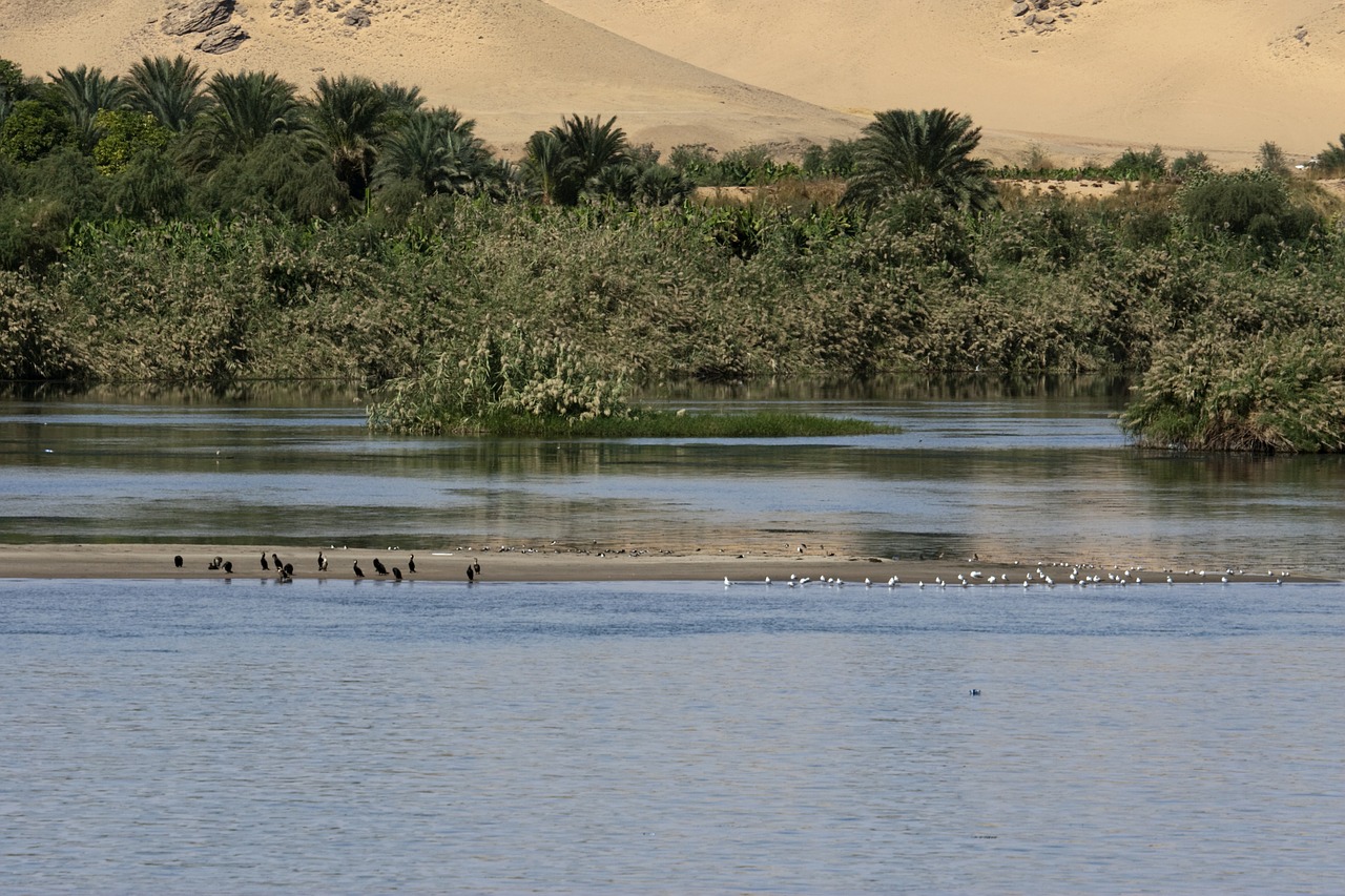 nile egypt tranquil free photo