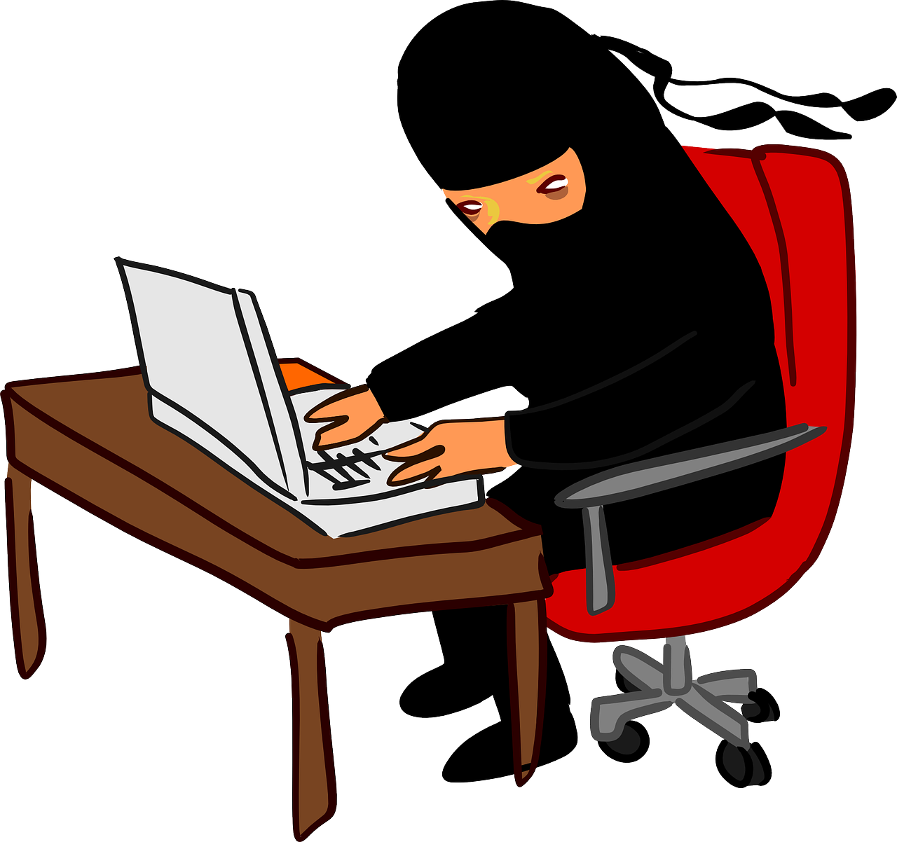 ninja laptop typing free photo