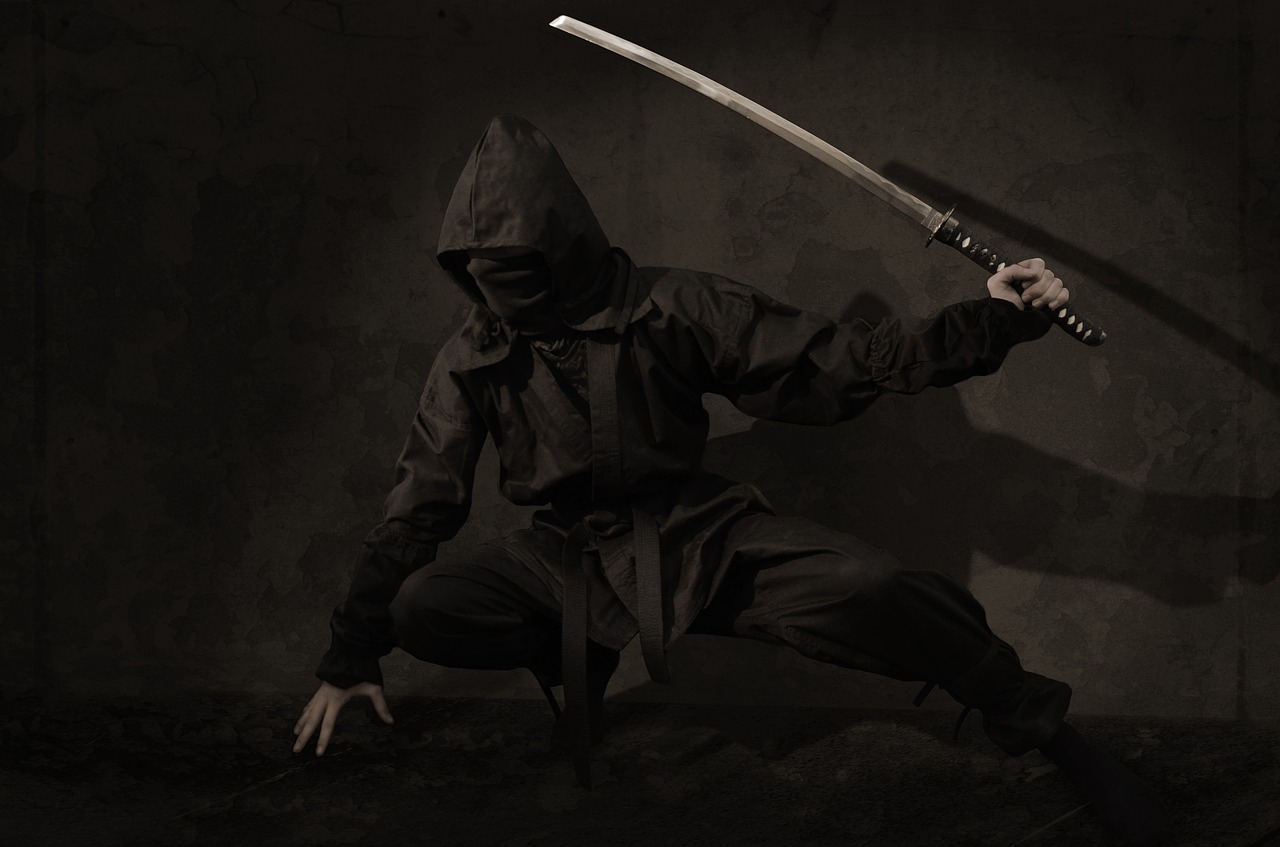ninja warrior japan free photo