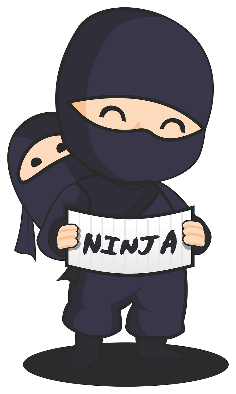 ninja baby parent free photo