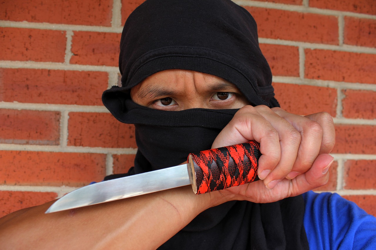 ninja assassin kill free photo