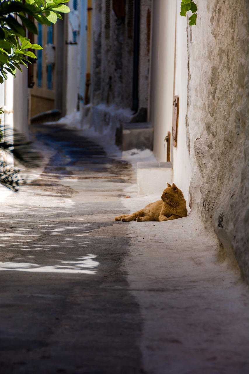 nisyros mandraki the sun free photo