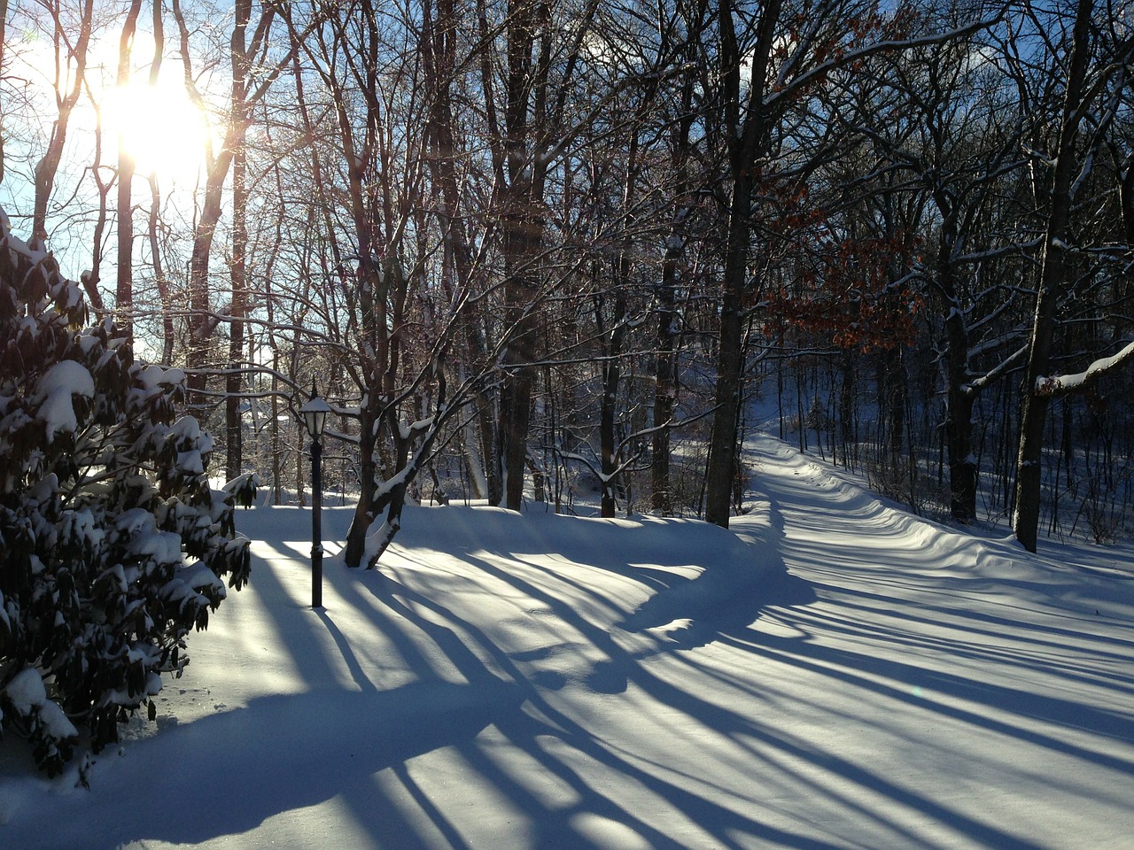 nj winter shadows free photo