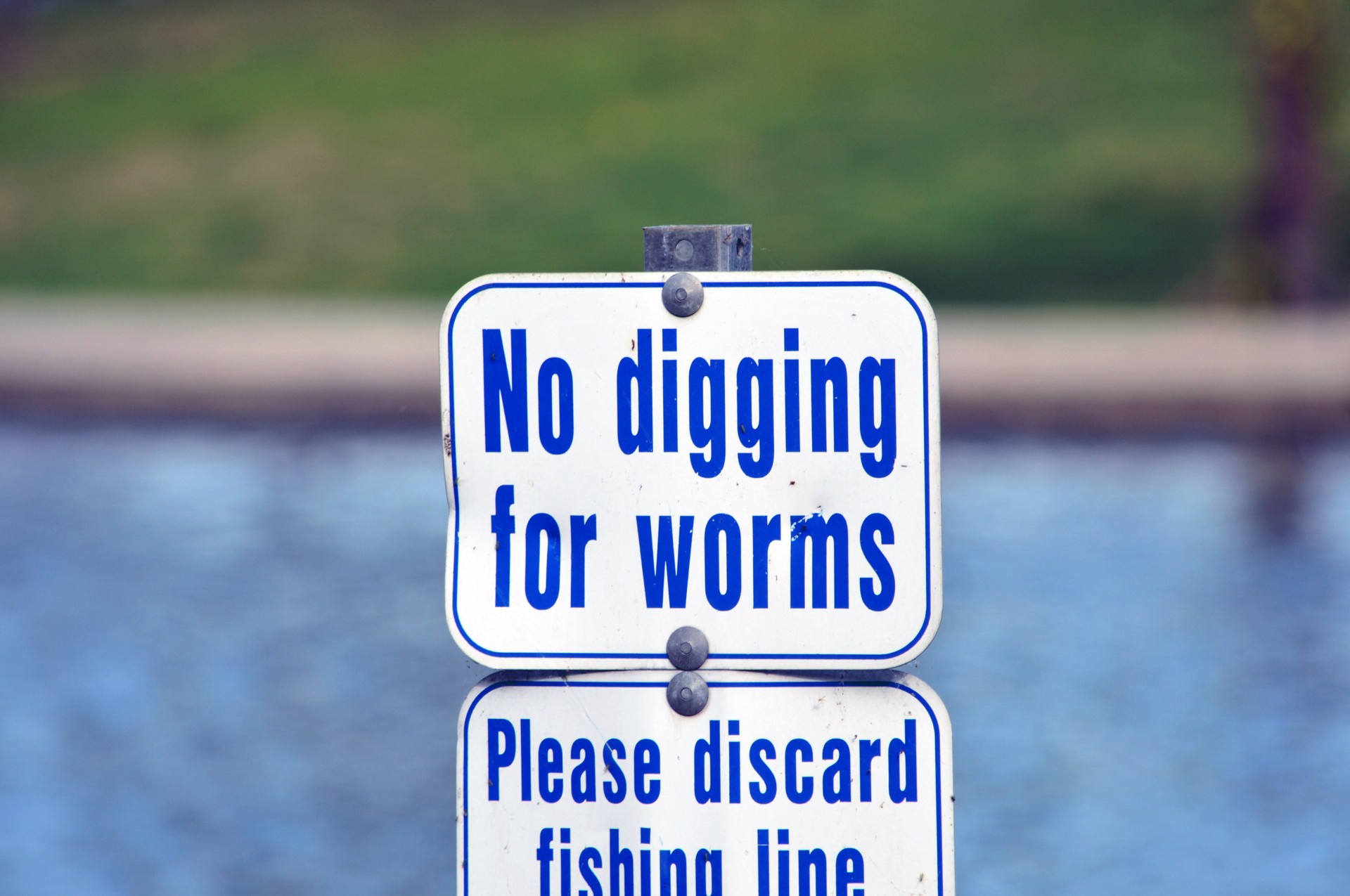 sign worms fish free photo