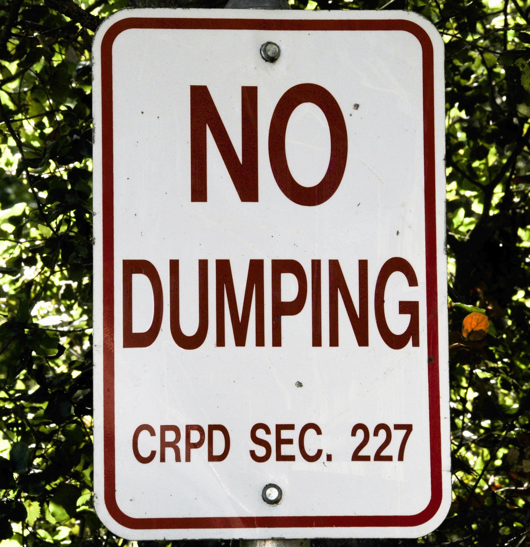 sign signs no dumping free photo