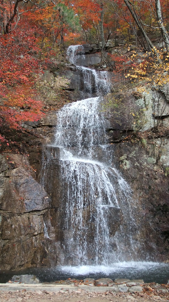 no filter  waterfall  nature free photo